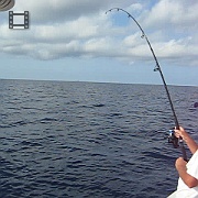 Picture 048
